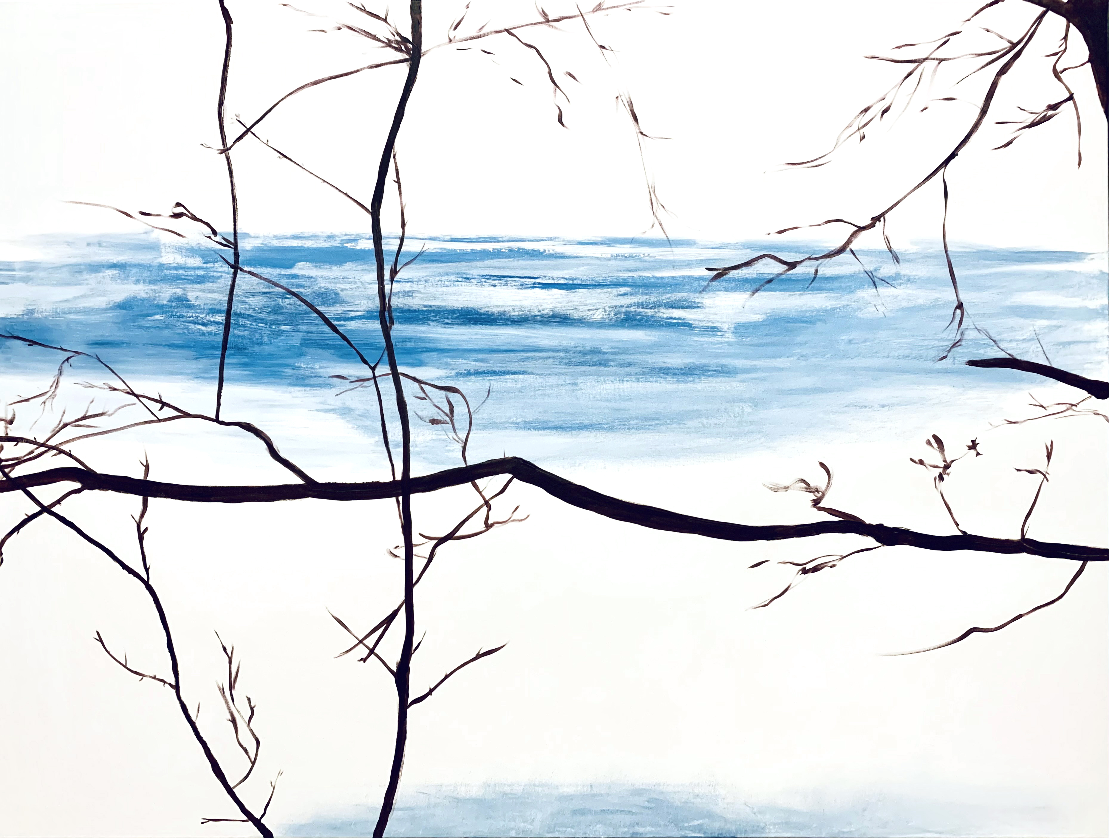 The Winter Lake